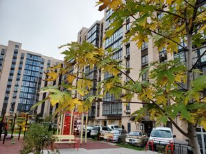Осенний ЖК РиверПарк